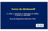 Tumor de Abrikossoff - IMAGENES 2015congreso.faardit.org.ar/uploads/2014/poster/2014_526_PE_Mama.pdf · Introducción •El tumor de células granulares es poco frecuente y de origen