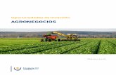 Oportunidades de inversión AGRONEGOCIOS - uruguayxxi.gub.uy · 2 La economía uruguaya ha transitado 14 años continuos de crecimiento, siendo además el país más equitativo y