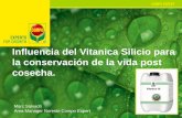 Influencia del Vitanica Silicio para la conservación de la ... silicio MARC... · EFFECT OF Vitanica® Si ON QUALITY AND POSTHARVEST ON APRICOT CONCLUSIONS El peso promedio de la