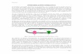 FOSFORILACIÓN OXIDATIVA - Yarineth Marchenapebelsyary.weebly.com/uploads/3/0/7/3/30738139/fosforilacion... · Bioquimica Fig. 2. Representación esquemática de una mitocondria funcional