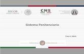 Presentación de PowerPoint - Secretariado Ejecutivo · Mexicanos, así como atendiendo al Plan Nacional de Desarrollo, del Programa Nacional de Seguridad Pública, Programa Sectorial