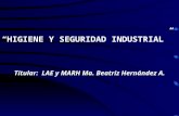 Seg. e Hig. Ergonomía. - HO - Higiene Ocupacional  OH - … · PPT file · Web view2004-11-14 · Title: Seg. e Hig. Ergonomía. Author: Ma. Beatriz Hernández Andrade.
