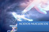 ACIDOS NUCLEICOS - juventud-medica.weebly.comjuventud-medica.weebly.com/uploads/2/1/2/2/21229712/cidos_nuclei... · controla, a través de la síntesis proteica, cada aspecto de la