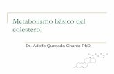 Metabolismo básico del colesterol - Blog 4to Semestre 2 ... · La emulsión (formación de micelas) proceso necesario para llevar al colesterol a un estado físico susceptible de