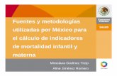Fuentes y metodologías utilizadas por México para el ... · Fuentes y metodologías utilizadas por México para el cálculo de indicadores de mortalidad infantil y materna Miroslava