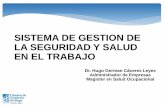 MOMENTO DE SEGURIDAD - Bienvenido a Cámara de … · afiliadas para la implementación del SG-SST, conforme a los plazos definidos ... IMPLEMENTACION COPASST (Comité Paritario de