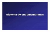 Sistema de endomembranas - alevazquez.com.aralevazquez.com.ar/pdfs/Sistema_de_endomembranas.pdf · Sistema de endomembranas. Es un sistema constituido por distintos organoides de
