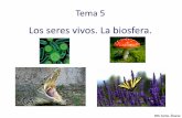 Los seres vivos. La biosfera. - iescarlosalvarez.com 5 La... · millones de especies de seres vivos diferentes, ... todos los seres vivos contienen los mismos elementos químicos,
