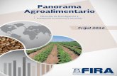 Panorama Agroalimentario | Frijol 2016 - El portal único ... · los precios de las variedades pinto, flor de mayo y negro registraron aumentos anuales de 44.7, 41.4 y 15.7 por ciento,