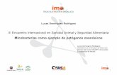 Lucas Domínguez Rodríguezs3.imatv.es.s3-website-eu-west-1.amazonaws.com/files/821/821/... · Clase Actinobacteria Orden Actinomycetales Suborden Corynebacterium Familia Mycobacteriaceae