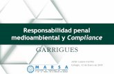 Responsabilidad penal medioambiental y Compliance ...clusterpiedra.com/wp-content/uploads/2018/01/Delitos_MAmbiente... · – Dispondrán de modelos de gestión de los recursos financieros