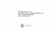 Prácticas e actitudes lingüísticas da mocidade en Galiciaconsellodacultura.gal/.../extras/CCG_2017...da-mocidade-en-Galicia.pdf · mocidade, achegándose ao fenómeno dende unha