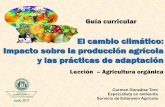 Guía curricularacademic.uprm.edu/gonzalezc/HTMLobj-883/ccagorganica.pdf · Introducción Las prácticas utilizadas en la agricultura orgánica fueron usadas por primera vez hace