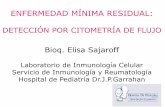 ENFERMEDAD MÍNIMA RESIDUAL - grupocitometria.org.ar · Inmunofenotipo de la leucemia al debut. ... Respuesta temprana al tratamiento-Protocolo ALLI-2002 Morfológica (
