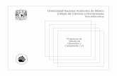 Universidad Nacional Autónoma de México Colegio de ...132.248.38.20/contenido/normatividad/cch/prog_indicativos/5o/1504.pdf · adquisición de la cultura básica, con fundamento