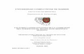 UNIVERSIDAD COMPLUTENSE DE MADRIDbiblioteca.ucm.es/tesis/med/ucm-t26623.pdf · Hepatopatía colestática • Cirrosis biliar primaria • Colangitis esclerosante primaria • Atresia