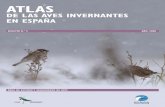 DE LAS AVES INVERNANTES EN ESPAÑA 2 Atlas aves... · E Introducción. Objetivos y esquema general del proyecto ... mir que la precisión que se alcance en este atlas para ellas será