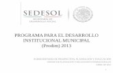 PROGRAMA PARA EL DESARROLLO INSTITUCIONAL …inafed.gob.mx/work/models/inafed/Resource/331/1/images/Presentac... · Estatal (FISE) 12.12%. Fondo de Aportaciones para la Infraestructura