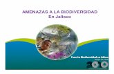 AMENAZAS A LA BIODIVERSIDAD En Jalisco - …siga.jalisco.gob.mx/multi/Amenazas a la Biodiversidad en...AMENAZAS A LA BIODIVERSIDAD … Conclusiones • Cinco amenazas son las de mayor