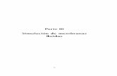 Parte III Simulación de membranas ﬂuidas - tesis.uson.mxtesis.uson.mx/digital/tesis/docs/21203/Capitulo7.pdf · Muchos problemas interesantes en biofísica de membranas, biología