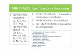 MINERALES: clasificación y funciones - eliasnutri · MINERALES: clasificación y funciones • ELEMENTOS MAYORES ... 94% of CaCO3, 1% of MgCO3, 1% of ... Interviene en muchas más
