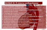 BLOQUE III: El sistema cardiopulmonar · BLOQUE III: El sistema cardiopulmonar Tema 6. El aparato cardiovascular A.-Estructura y composición de la sangre. B.-Anatomía de los vasos