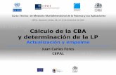 Cálculo de la CBA y determinación de la LP - CEPALSTATinterwp.cepal.org/mmp/pres/4_Calculo_CBA_y_LP.pdf · CEPAL, Naciones Unidas. 06 y el 15 de diciembre de 2010 Cálculo de la