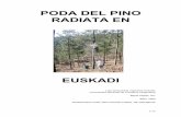 Poda en Euskadi - basoa.orgbasoa.org/dmdocuments/Basoa/Informacion/Tecnicas/Poda_en_Euskadi.pdf · 3/15 Foto 1: Medición del diámetro sobre los muñones del verticilo podado (DSM)