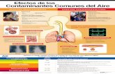 Efectos de los Contaminantes Comunes del Aire, 2008, EPA … · 2014-02-19 · Efectos de los. Contaminantes Comunes del Aire. Ritmo cardíaco normal Ritmo cardíaco anormal. Alvéolos