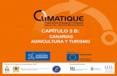 CAPÍTULO 3 B - climatique.itccanarias.orgclimatique.itccanarias.org/files/Curso online/Captulo_3B.pdf · • La disminución del nivel piezométrico del agua se traduce en el agotamiento