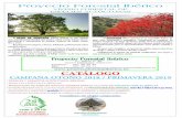 CATÁLOGO - proyectoforestaliberico.es · PRESENTACIÓN. PRESENTACIÓN ORIGEN SEMILLA. ESPECIE HÁBITAT - ECOLOGÍA. EDAD. Juniperus oxycedrus . Subsp. badia (Enebro albar-porte arboreo-)