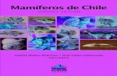 445-572 Mamiferos Chile - cebem.orgcebem.org/cmsfiles/publicaciones/mamiferos_de_chile.pdf 5 Índice Prefacio a la primera edición 7 Prefacio a la segunda edición 9 CAPÍTULO I .