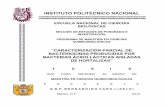 INSTITUTO POLITÉCNICO NACIONAL - tesis.ipn.mxtesis.ipn.mx/jspui/bitstream/123456789/7269/1/71.pdf · “caracterizaciÓn parcial de bacteriocinas producidas por bacterias Ácido