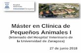 Máster en Clínica de Pequeños Animales I - hcv.unizar.eshcv.unizar.es/doc/Presentacion Master 2018_19 PAI.pdf · - Título de Licenciado/Graduado en Veterinaria (excepción hecha