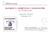BLOQUE 3. GENÉTICA Y EVOLUCIÓN 3.3 Traducción · Biología 12º BLOQUE 3. GENÉTICA Y EVOLUCIÓN 3.3 Traducción. Traducción Se necesitan dos procesos para la síntesis de proteínas,