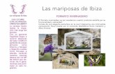 ibizalarapropiedades.comibizalarapropiedades.com/.../04/PDF2018-LAS-MARIPOSAS-DE-IBIZA.pdf · ños seres de luz para sentir la respuesta. Las mariposas de Ibiza ... En el momento
