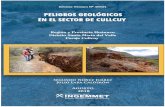 Informe Técnico N° A6824 - repositorio.ingemmet.gob.perepositorio.ingemmet.gob.pe/...Peligros_geologicos_Cullcuy-Huanuco.pdf · El presente informe brinda información sobre los