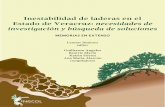 Inestabilidad de laderas en el Estado de Veracruz ... de laderas en el estado de Veracruz: necesidades de investigación y búsqueda de soluciones Memorias en extenso Leonor Jiménez