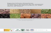 Especies leñosas alimenticias - core.ac.uk · (África del Oeste) Máster en Tecnología para el Desarrollo Humano y la Cooperación Alumna: María Dolores Agúndez Leal Tutor: Santiago