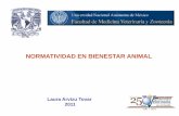NORMATIVIDAD EN BIENESTAR ANIMAL - CONASAconasamexico.org.mx/conasa/2011_docs_19a_reunion/201110_26-mier... · sistema jurídico del Estado. ... bienestar social y personal Creencias