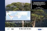 Evaluación y análisis de importadores e importaciones de ... · DGFFS Dirección General de Flora y Fauna Silvestre (Perú) DOF Documento de Origen Forestal (IBAMA) ... FUNTAC Fundaçāo