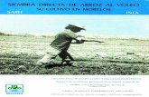 Siembra directa de arroz al voleo, su cultivo en Morelos (1978) · INDICE Pág. Introducción .. Preparación del terrcno Varicdad Epoca de siembra Densidad de siembra . Riegos .