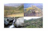 DIAGNÓSTICO HIDROLÓGICO FORESTAL Y SOCIAL DE LAS ...forestalito.net/wp-content/uploads/2014/05/Microcuenca-Nanvalle... · diagnÓstico hidrolÓgico forestal y social de las microcuencas