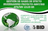GESTIÓN DE GASES DE EFECTO INVERNADERO …bvirtual.indecopi.gob.pe/ponenc/2014/7.IsabeldeAraujo.pdf · gestiÓn de gases de efecto invernadero proyecto abnt/bid atn/me 13129-br fomento