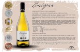 COMPOSICIÓN VARIETAL: 100% CHARDONNAYdoshemisferios.com/wb/images/fichas/fichaenigma3.pdf · Luego se mezcla con el vino de la próxima cosecha. ... ca y el 80% del vino proveniente
