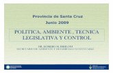 POLITICA, AMBIENTE , TECNICA LEGISLATIVA Y CONTROL - POLITICA... · Nuevas tipificaciones de ilícitos ambientales (contravencionales y penales) De coordinación interjurisdiccional