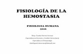 FISIOLOGÍA DE LA HEMSOTASIAecaths1.s3.amazonaws.com/fisiologiafacena/1302269111.13.04.16... · FISIOLOGIA HUMANA 2016 Bioq. Claudia Patricia Serrano Especialista en Docencia y Gestión