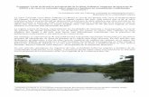 Economía Verde en Brasil, la privatización de la Mata Atlántica: impactos de ... · 2013-04-25 · llamada “Reserva Natural Salto Morato”, de propiedad de la Fundación Boticario.