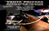 Caballada Corriendo y con Campaña - mundocorralero.cl venta privada.pdf · Gostosa 16 Domin ó 22•10•1999 ...