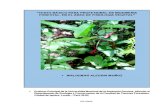 FCF-UNAP · fcf-unap sumario introduccion a la fisiologia vegetal 1 capitulo i: definiciÓn de fisiologia vegetal y postulados basicos 3 1.1. definición de fisiología vegetal 3